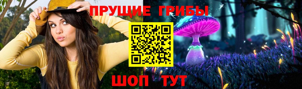 Псилоцибиновые грибы мицелий  Вход с VPN  Галлюциногенные грибы Psilocybine cubensis  Щёлково 